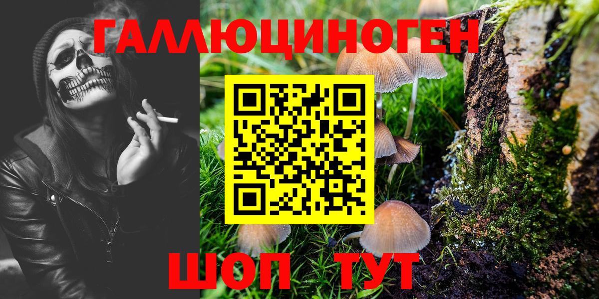 Псилоцибиновые грибы MAGIC MUSHROOMS  где купить наркоту  Псилоцибиновые грибы Psilocybe  Серпухов  Вход с VPN 