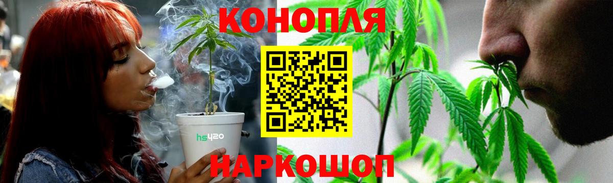 Бошки Шишки планчик  Канабис Amnesia  Серпухов  Вход с VPN  Конопля тримм  МАРИХУАНА Amnesia 